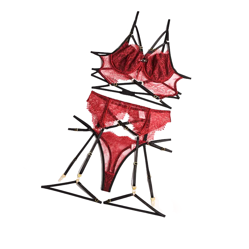 Sheer Bra Lace - Nuovo pizzo Sexy Lingerie trasparente Hot